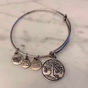 Alex and Ani Charm Bracelet